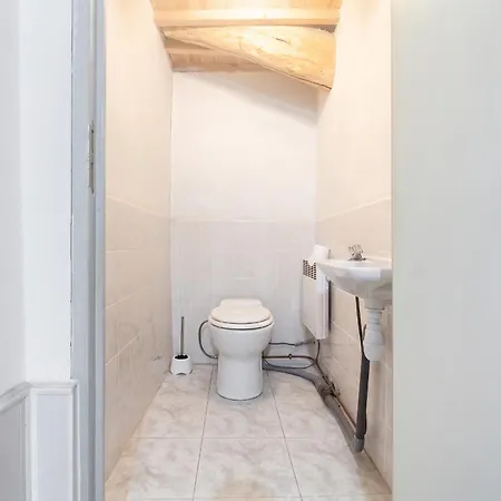 Maison De Charme A Puycelsi Avec Jardin Et Barbecue