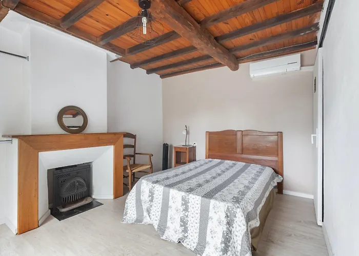 Maison De Charme à Puycelsi Avec Jardin Et Barbecue *